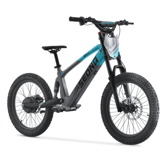 Sedna SX 20