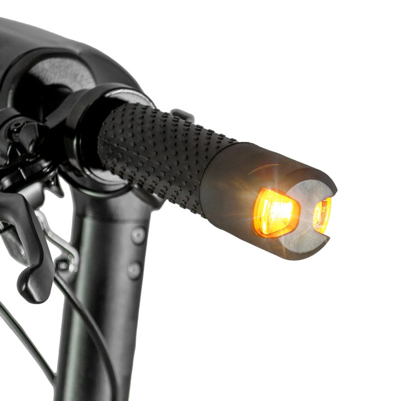 Trottinette électrique 600W - XT81